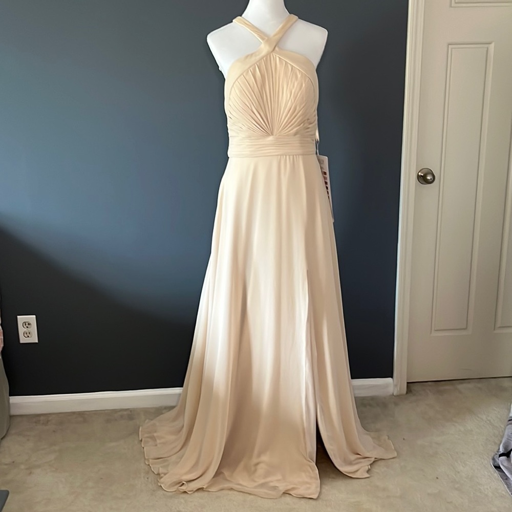 Mori Lee Champagne full length dress